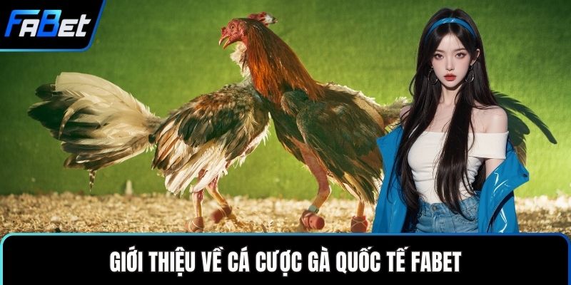 Cá Cược Gà Quốc Tế FABET Đẳng Cấp Cho Người Hâm Mộ 1 Giới thiệu về cá cược gà quốc tế FABET