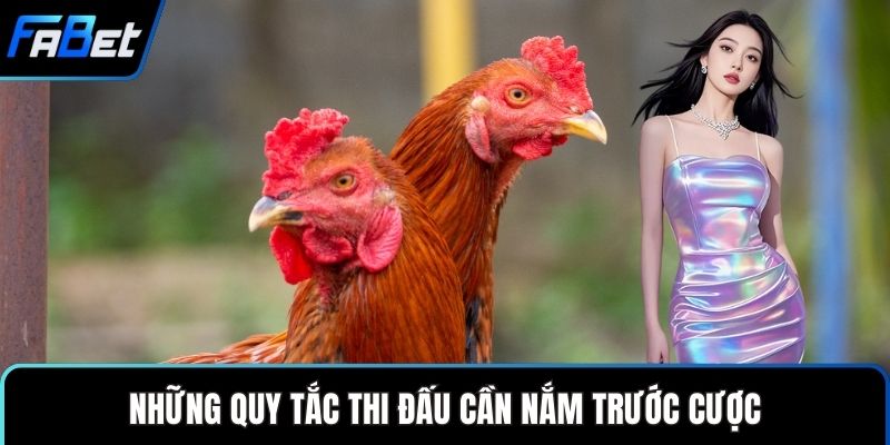 Cược Gà Cựa Dao Bí Quyết Giúp Người Mới Tự Tin Đặt Cược 2 Những quy tắc thi đấu cần nắm trước cược